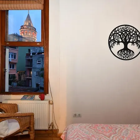 Historical Flat Unique Terrace Ac In Beyoglu Galata