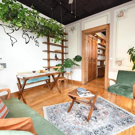 Historical Flat Unique Terrace Ac In Beyoglu Galata Apartament Stambuł