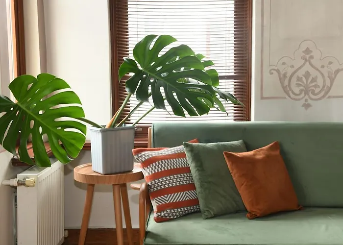 公寓 Historical Flat Unique Terrace Ac In Beyoglu Galata