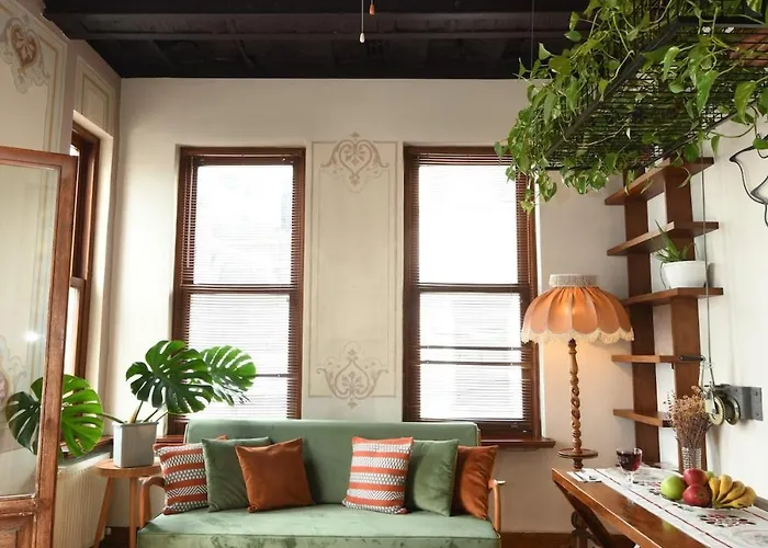 公寓 Historical Flat Unique Terrace Ac In Beyoglu Galata