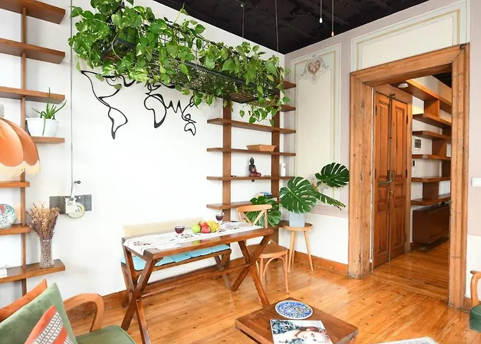 Historical Flat Unique Terrace Ac In Beyoglu Galata 公寓