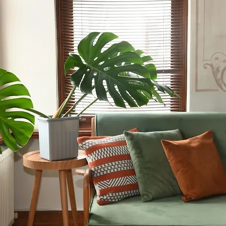 Lägenhet Historical Flat Unique Terrace Ac In Beyoglu Galata